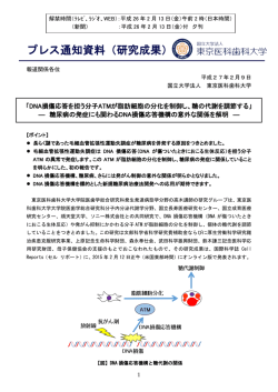 プレス通知資料（研究成果）