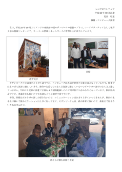 モザンビークから(PDF文書)