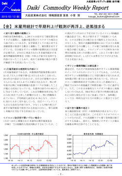 PDF版