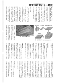 CLTとは何でしょう？ (PDFファイル)