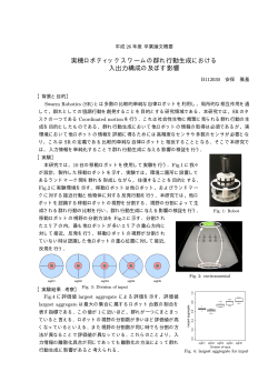 実機ロボティックスワームの群れ行動生成における 入出力構成の及ぼす