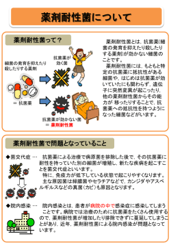 薬剤耐性菌について