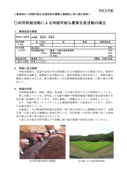 共同取組活動による持続可能な農業生産活動の確立