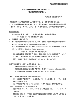 塩田構成員提出資料(PDF:104KB)