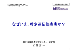 松原構成員提出資料(PDF:337KB)