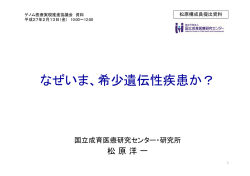 松原構成員提出資料(PDF:337KB)
