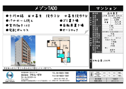 メゾンTADO301号室・1DK 【29.60・洋4.7、DK7.5】
