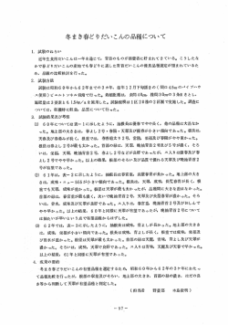 冬まき春どりだいこんの品種について