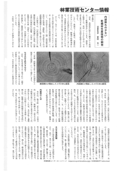 内部割れの少ない乾燥材生産技術の開発 (PDFファイル)