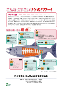 裏表紙(PDF文書)
