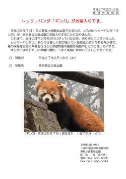 レッサーパンダ「ギンガ」がお嫁入りです。
