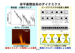 非平衡開放系のダイナミクス