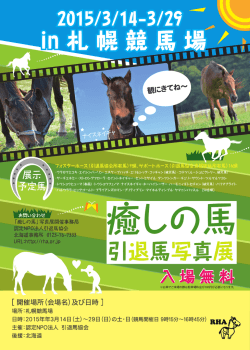 札幌競馬場A4縮小版