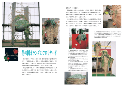 花の国オランダのフロリヤード