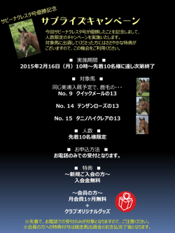 先着10名様限定