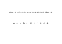 補 正 予 算 に 関 す る 説 明 書