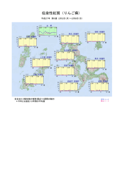 伝染性紅斑 発生状況＞［PDFファイル／148KB］