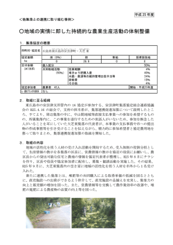 地域の実情に即した持続的な農業生産活動の体制整備