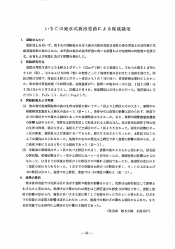 いちごの流水式夜冷育苗による促成栽培