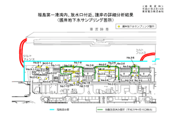 福島第一港湾内、放水口付近、護岸の詳細分析結果 （護岸