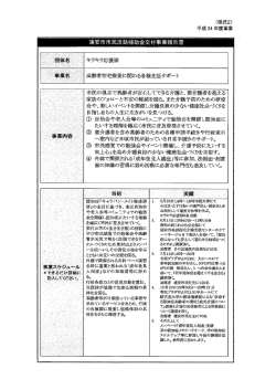 （高齢者在宅療養に関わる各種サポート） （PDF 164.2KB）