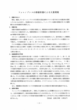 ファレノプシスの根端培養による大量増殖