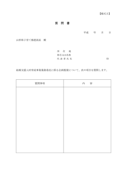質問書（PDFファイル 28KB）