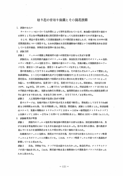 切り花の蕾切り保蔵とその開花技術