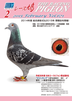 Adobe Photoshop PDF