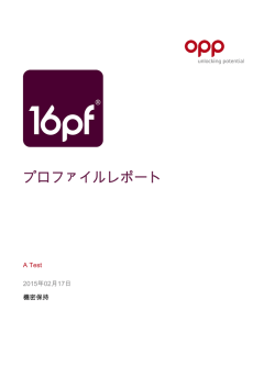 プロファイルレポート