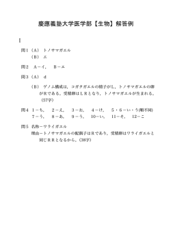 解答PDFダウンロード
