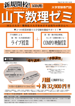 折込広告（PDF）