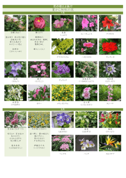 季節の花 - 豊明市商工会