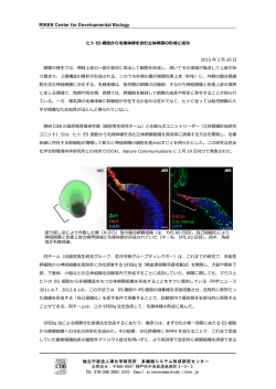 RIKEN Center for Developmental Biology