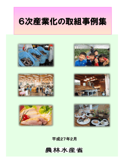 表紙・目次（PDF：768KB）