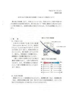 PDFファイル