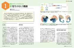 膵発生の分子機構