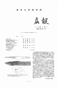 7巻 4号 (1975年5月発行) - 東京大学 大学院理学系研究科・理学部