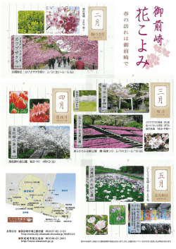 花こよみリーフレット（PDF：684KB）