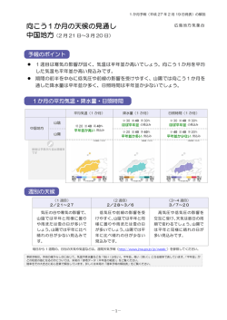 解説資料（PDF形式：464KB）