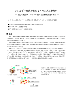 竹田 Immunity 解説 20150218