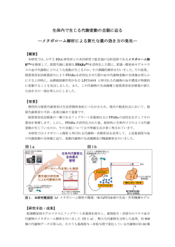 メタボローム解析による新たな薬の効き方の発見
