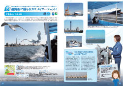 千葉港めぐり観光船～遊覧船に揺られカモメ～（PDF：943KB）