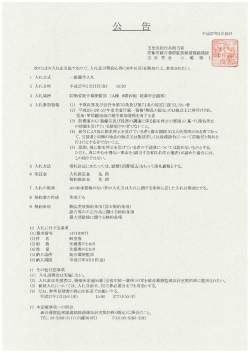 航空券【仕様書付】