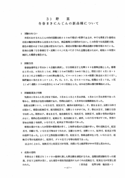 冬春まきにんじんの新品種について