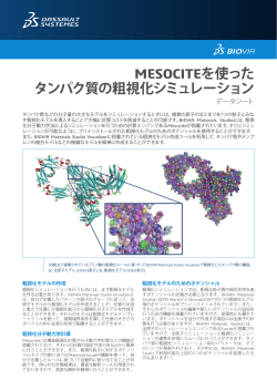 MESOCITEを使った タンパク質の粗視化シミュレーション