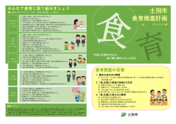 概要版（案）(PDF文書)