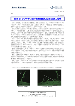 世界初、チンアナゴ類の産卵行動の動画記録に成功