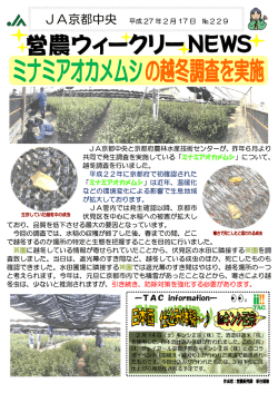 営農ウィークリー 最新号