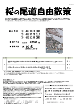 桜の尾道自由散策